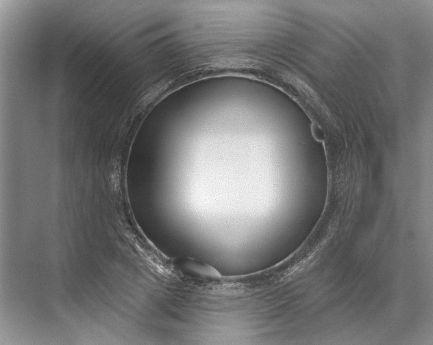 X0000073520833200608140958