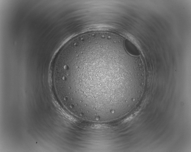 X0000073520835200608140958