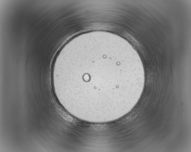 X0000073520836200608140958