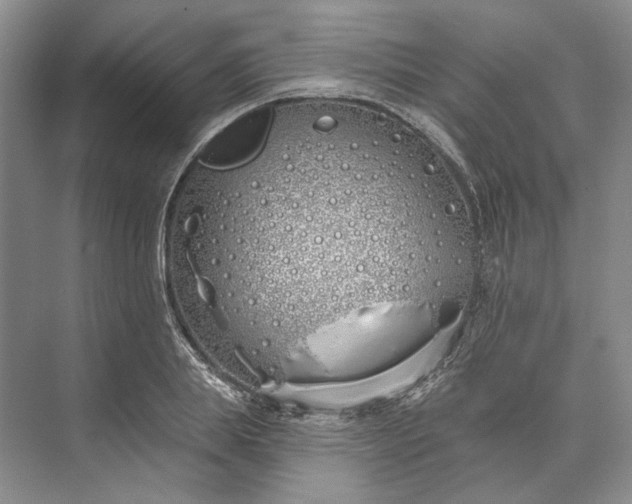 X0000073520839200608140958