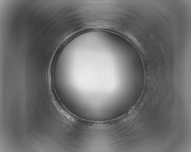 X0000073520840200608140958