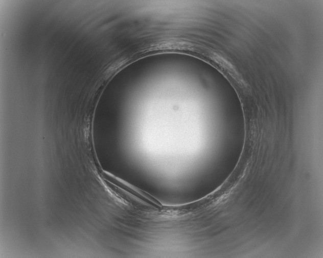 X0000073520841200608140958