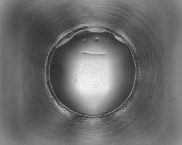 X0000073520845200608140958