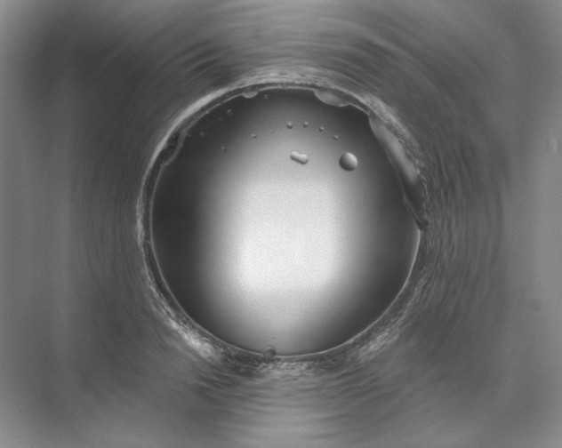 X0000073520846200608140958