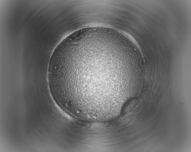 X0000073520847200608140958