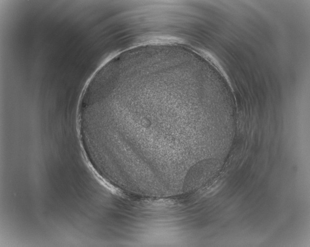 X0000073520851200608140958