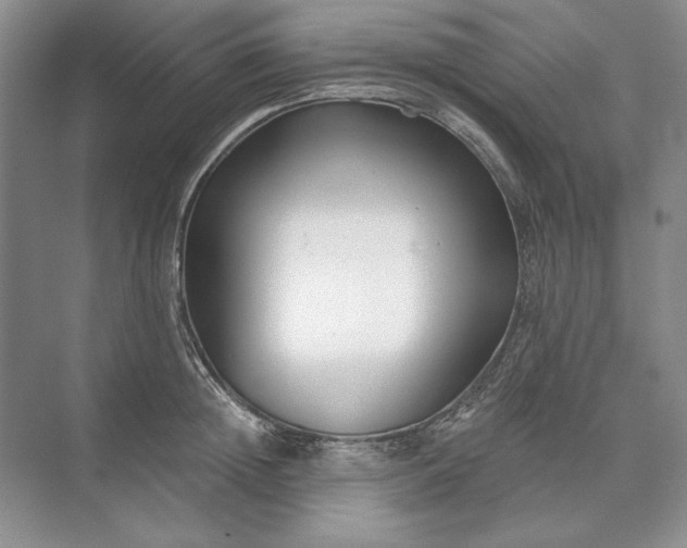 X0000073520852200608140958