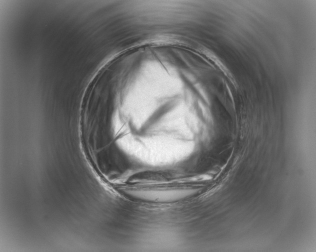 X0000073520853200608140958