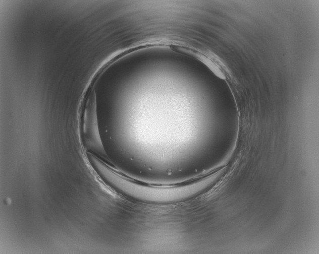 X0000073520854200608140958