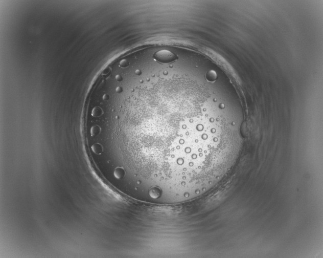 X0000073520855200608140958