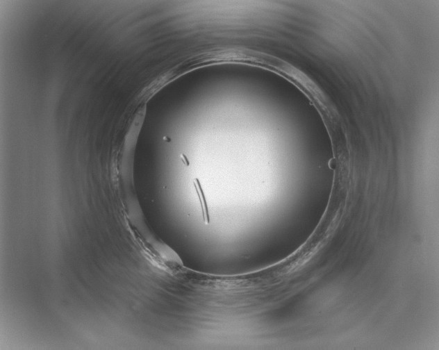 X0000073520857200608140958