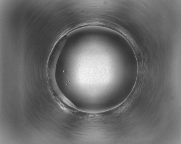 X0000073520858200608140958