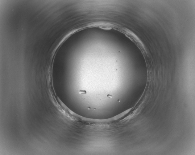 X0000073520860200608140958