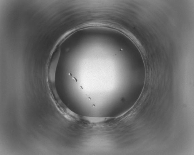 X0000073520862200608140958