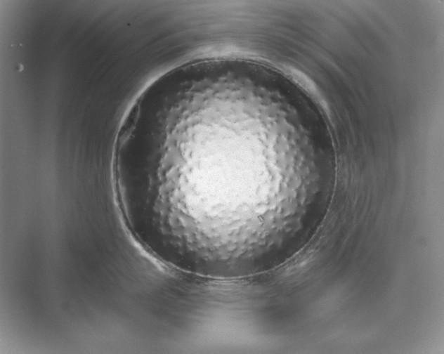 X0000073520863200608140958