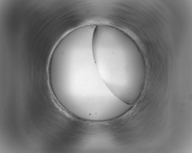 X0000073520864200608140958