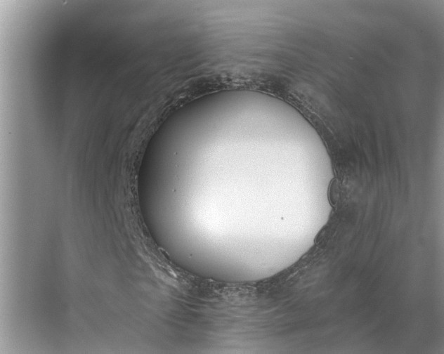 X0000073520865200608140957