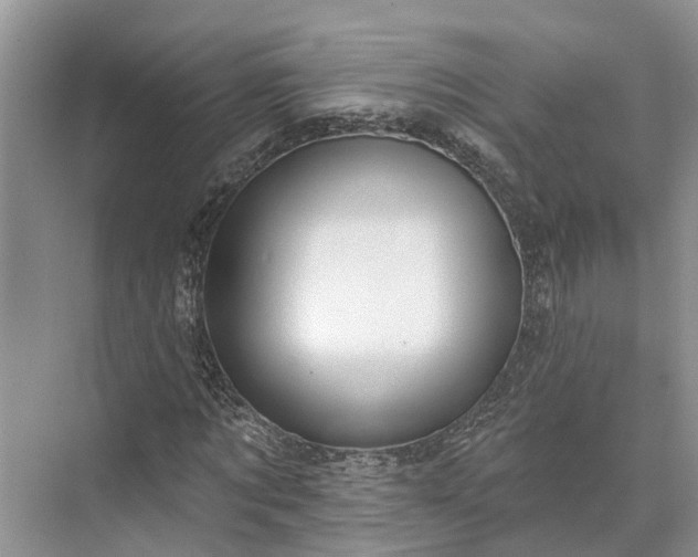 X0000073520869200608140957