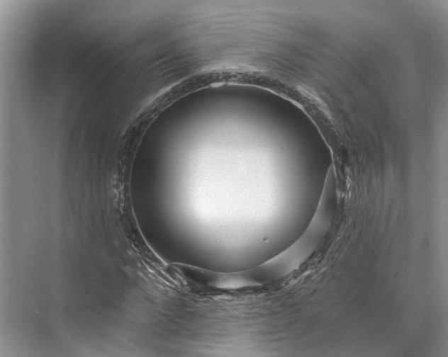 X0000073520872200608140957