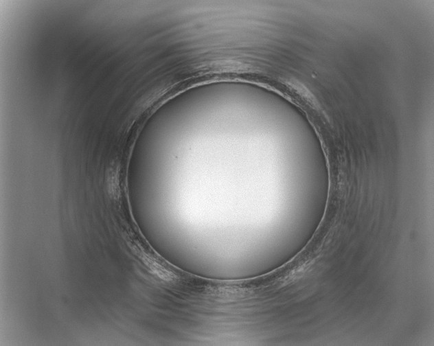 X0000073520873200608140957