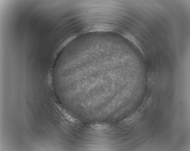 X0000073520874200608140957