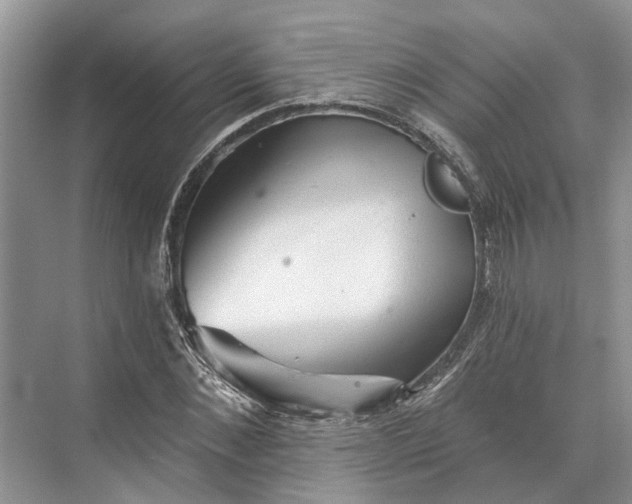 X0000073520876200608140957