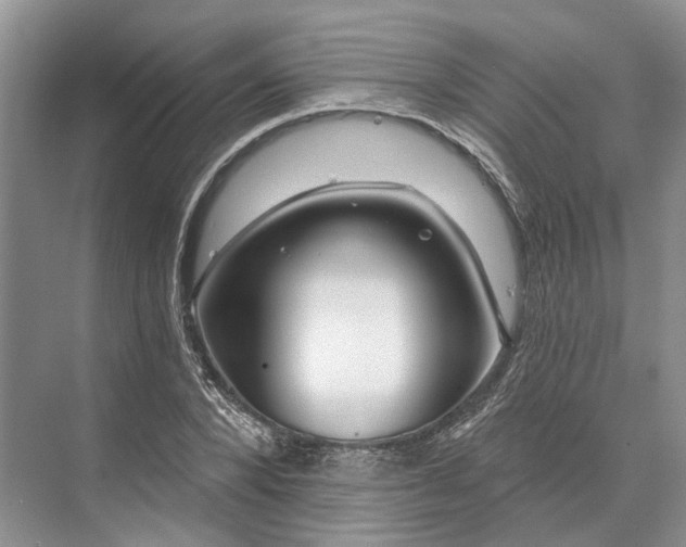 X0000073520880200608140957