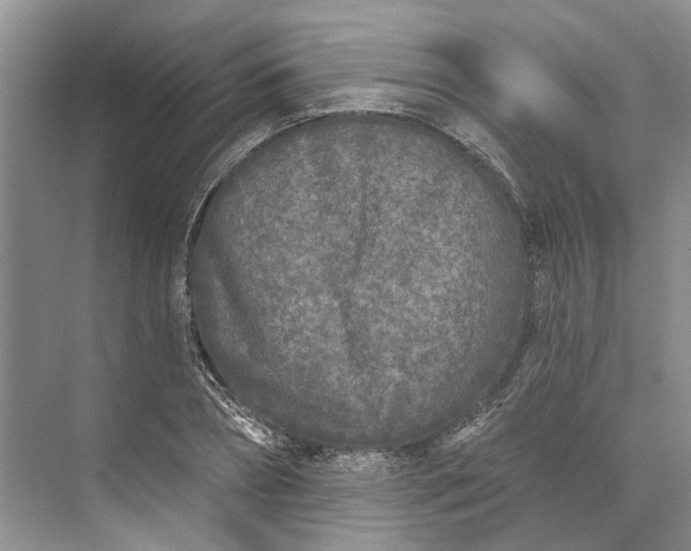 X0000073520882200608140957