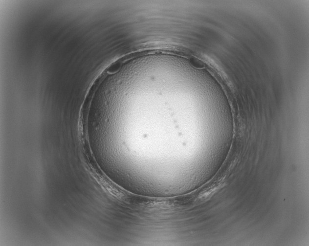 X0000073520883200608140957