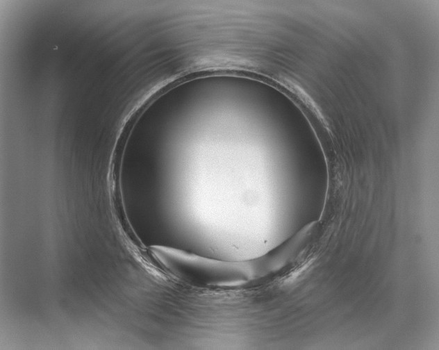 X0000073520885200608140957