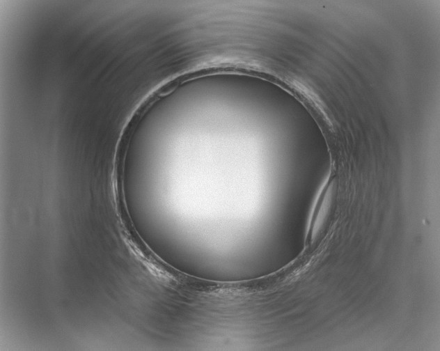 X0000073520888200608140957