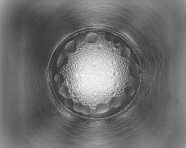 X0000073520891200608140957