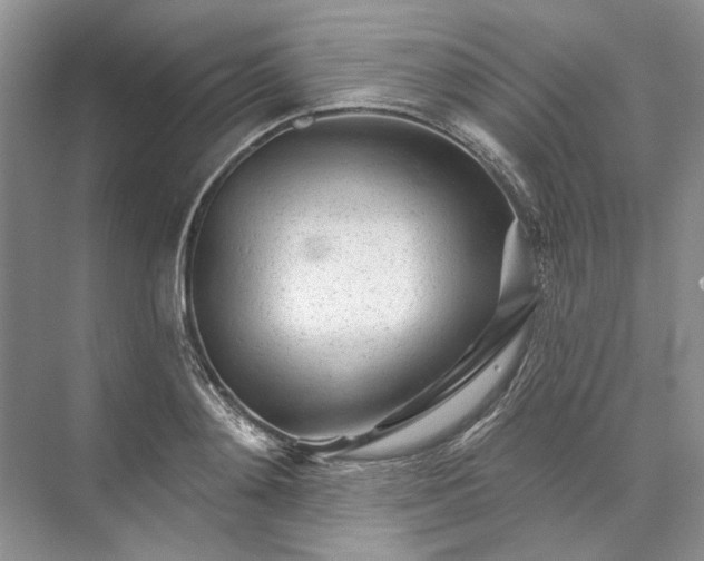 X0000073520892200608140957