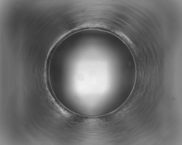 X0000073520894200608140957