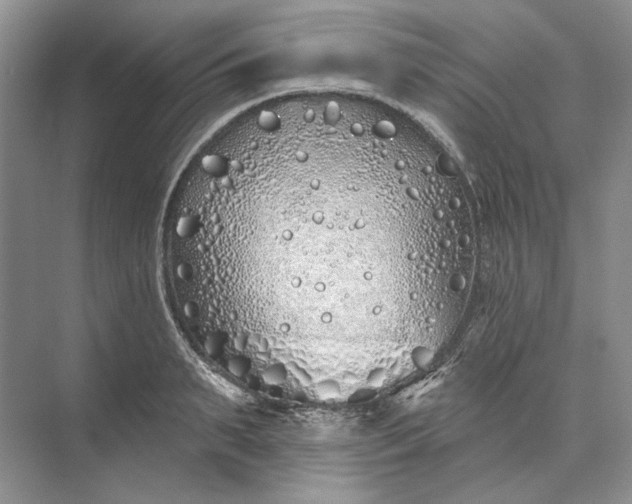 X0000073520895200608140957