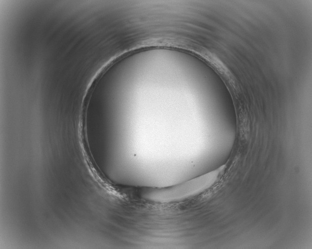 X0000073520896200608140957