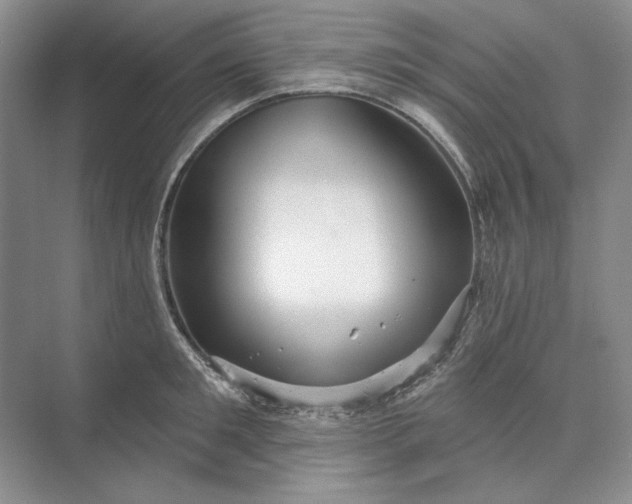 X0000073520901200608140957