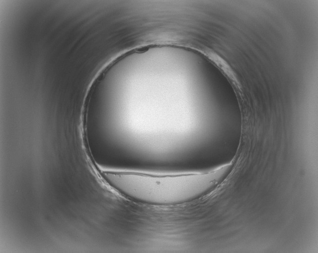 X0000073520904200608140957