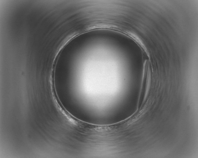 X0000073520906200608140957