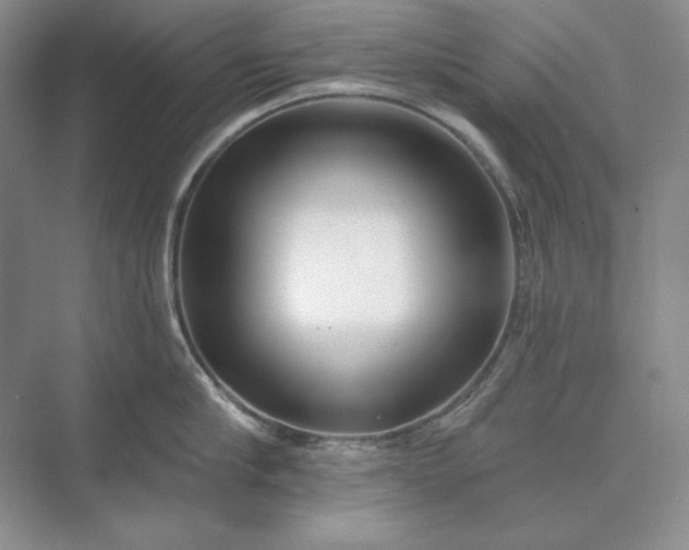 X0000073520910200608140957