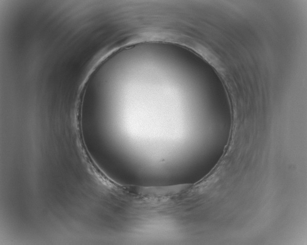 X0000073520912200608140957