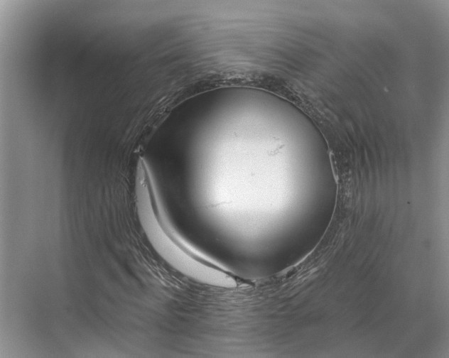 X0000073520916200608140956