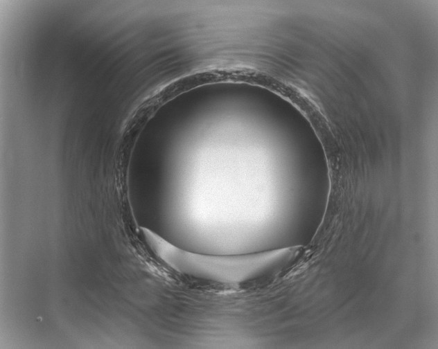 X0000073520920200608140956