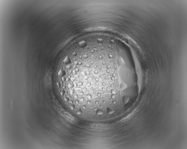 X0000073520921200608140956