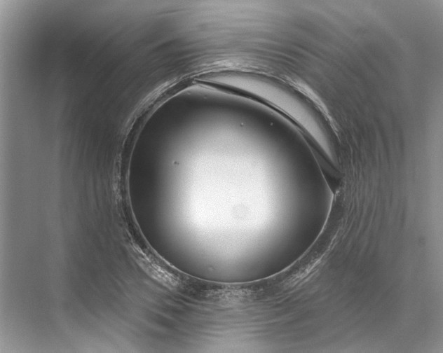 X0000073520930200608140956