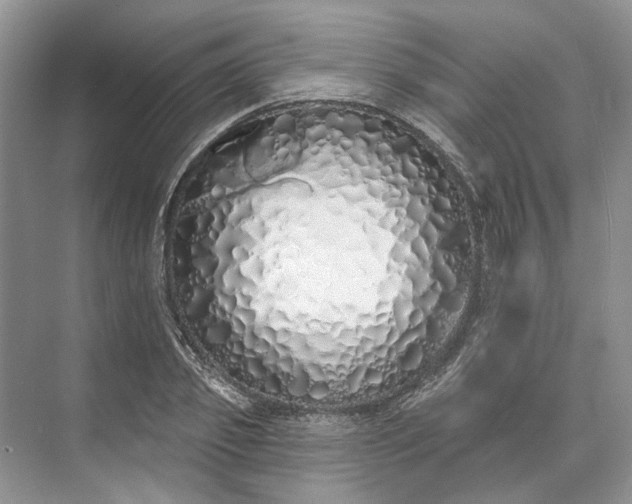 X0000073520933200608140956