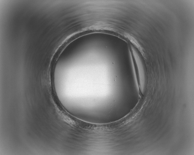 X0000073520934200608140956