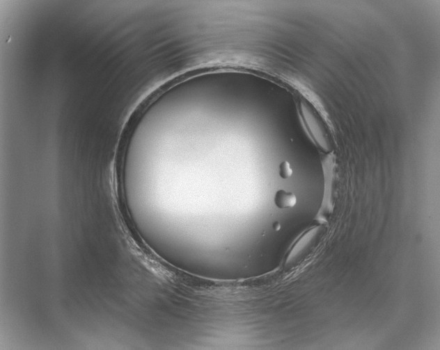 X0000073520936200608140956