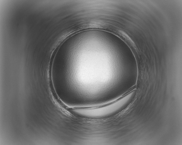 X0000073520938200608140956