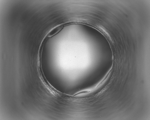 X0000073520940200608140956